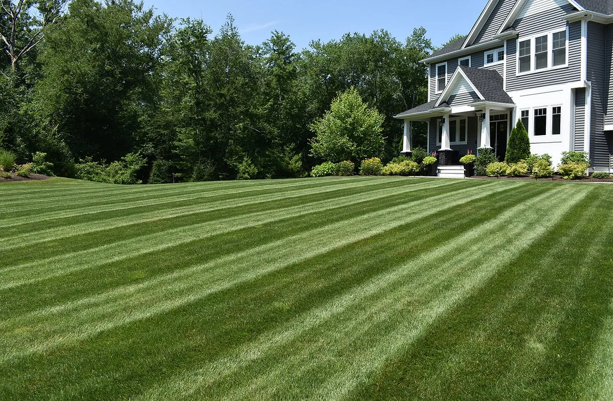 Freshly mowed striped lawn in front of a large home