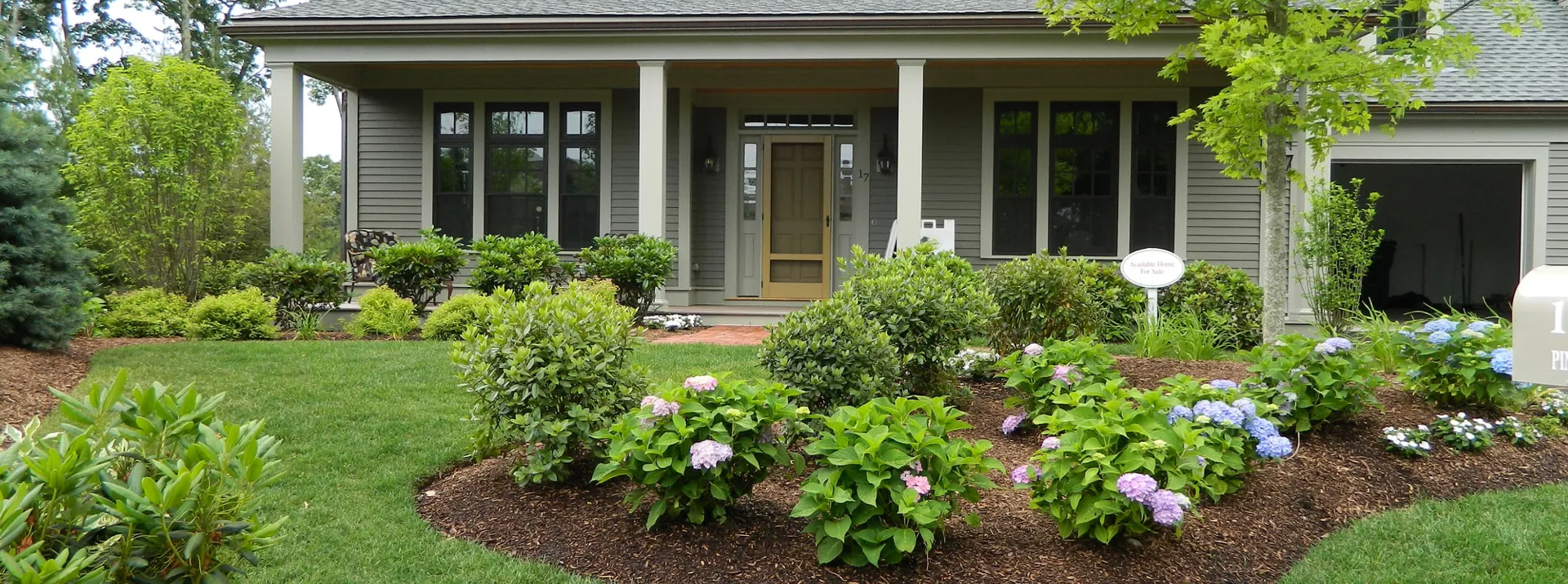 Front yard landscape with hydrangea beds, fresh mulch and green lawn
